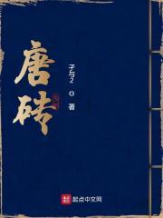 《唐砖》